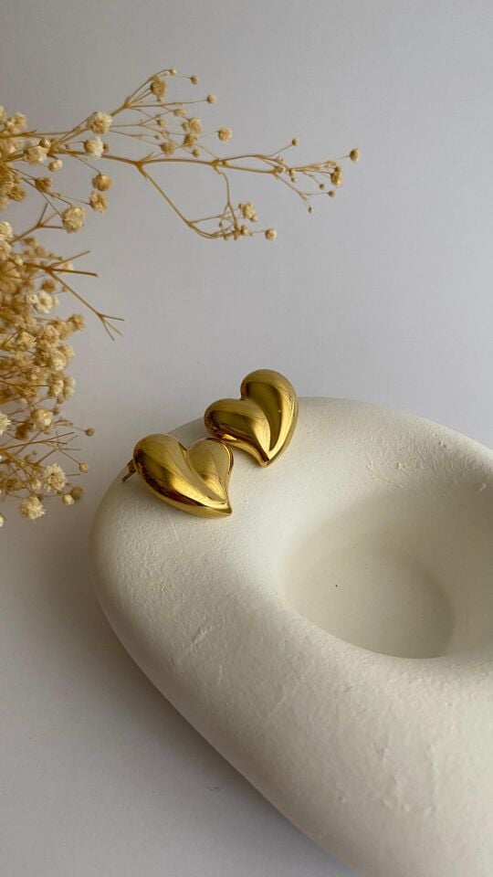 İri kalp çelik küpe