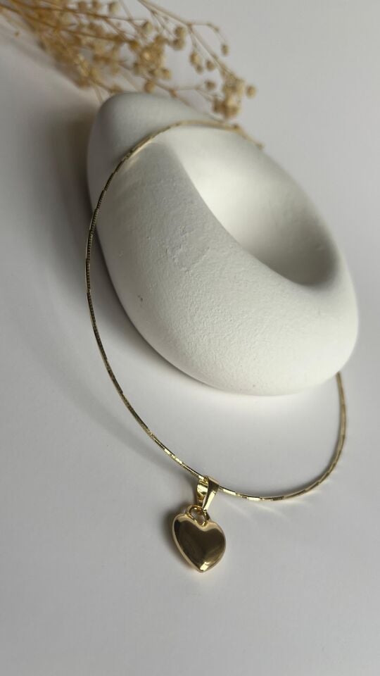 14 k gold kalp uçlu ince choker kolye
